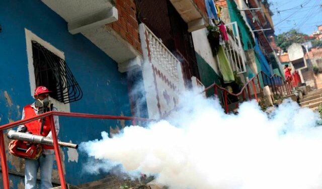 Alertan que brote de dengue en Caracas pasó a ser epidemia tras filtración de misiva chavista