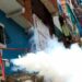 Alertan que brote de dengue en Caracas pasó a ser epidemia tras filtración de misiva chavista