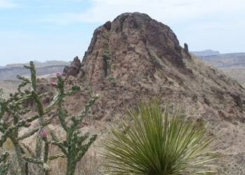 Milagro en Texas: estuvo perdido en el desierto ardiente durante horas, bebió de un charco y comió renacuajos
