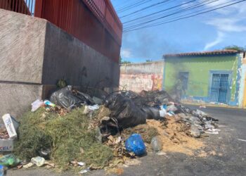 Cumaná convertida en criadero de zamuros que gozan un puyero con tanta basura