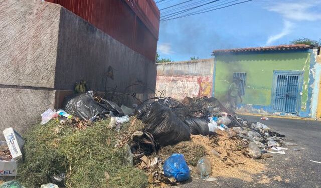 Cumaná convertida en criadero de zamuros que gozan un puyero con tanta basura
