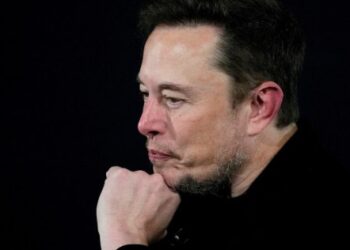 El mensaje de Elon Musk tras la contundente victoria de Javier Milei