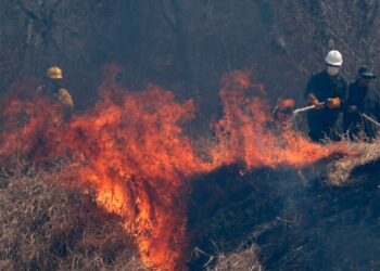 Lluvias ligeras logran apagar gran parte de los incendios forestales en Bolivia