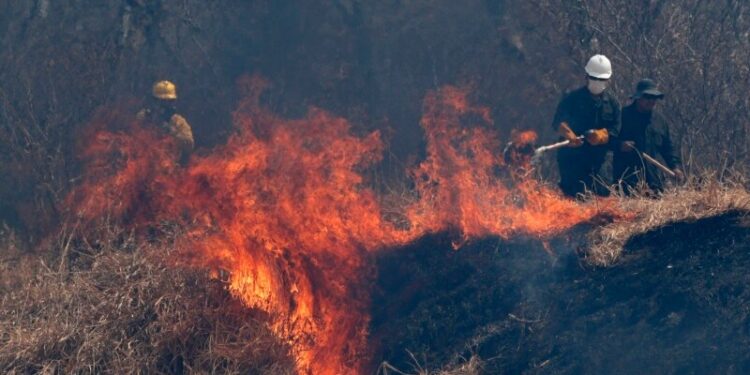 Lluvias ligeras logran apagar gran parte de los incendios forestales en Bolivia