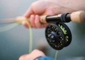 “Quizá fue un presagio y me divorcié”: Luna de miel casi termina en tragedia en Florida