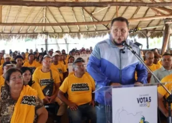 José Brito: el referéndum no tiene gesta partidista, su único rostro es la defensa de la soberanía nacional