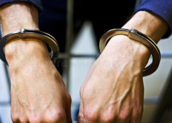 Dos venezolanos terminaron con los ganchos puestos tras maltratar a un perro en México