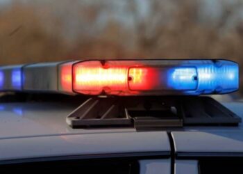 Una discusión llevó a niño de cinco años a apuñalar mortalmente a su gemelo en California