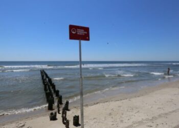 Horror en Queens: Hallaron cadáver sin brazos ni cabezas cerca de una playa