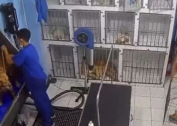 ¡Morirás de ternura!, un venezolano en Chile se hizo VIRAL por esta hermosa razón (VIDEO)