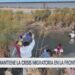 Miles de migrantes siguen llegando cada día a EEUU