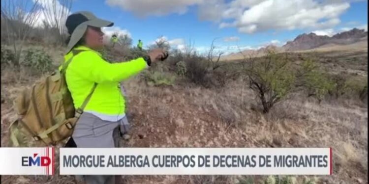 Migrantes perecidos en la frontera permanecen sin identificar en morgue de Arizona