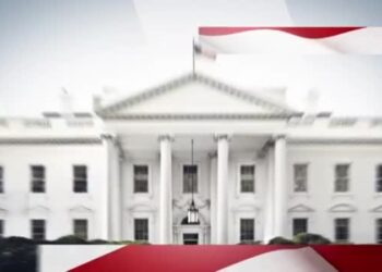 Elecciones en Estados Unidos – EXPLAINER 4