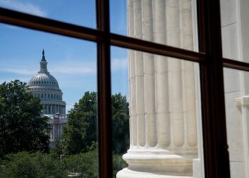 Estados Unidos AL DIA Diciembre 7 2023