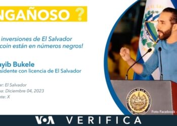¿Estuvieron las inversiones de bitcóin en El Salvador en «números negros”?