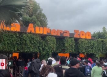 Zoológico de Guatemala abre sus puertas por la noche