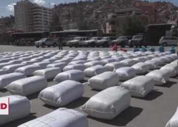 ¿Qué pasa con la política antidrogas de Bolivia?