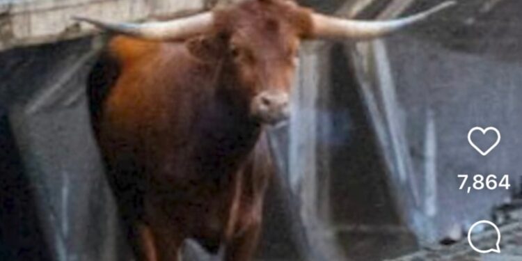 Detenido el tráfico de trenes entre Nueva Jersey y Nueva York