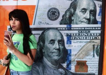 ¿Qué opinan los argentinos del paquete económico de Milei y cómo enfrentan la inflación?