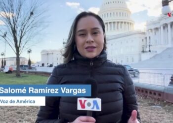 VOA Te Explica | ¿Qué le preocupa a los votantes en EEUU de cara a las elecciones presidenciales?