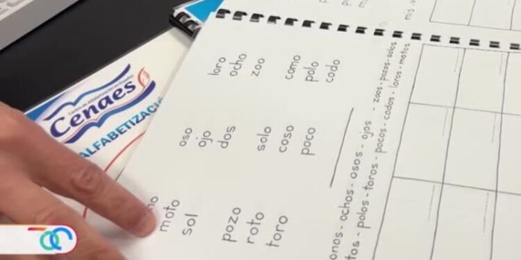 Analfabetos latinos, la otra cara de los inmigrantes