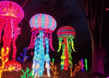 En Fotos | Se enciende la temporada navideña en el zoo de Washington