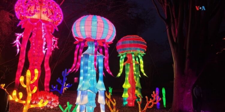 En Fotos | Se enciende la temporada navideña en el zoo de Washington