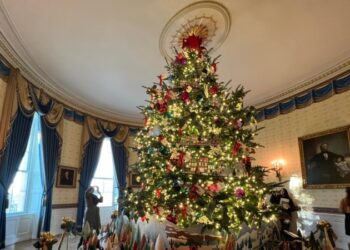 Estados Unidos AL DIA Diciembre 14 2024.mp3