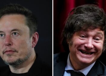 Presidente electo de Argentina Javier Milei y magnate Elon Musk se hacen guiños en X