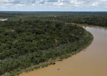 El anuncio de que Brasil se suma a la OPEP como observador despertó grandes inquietudes