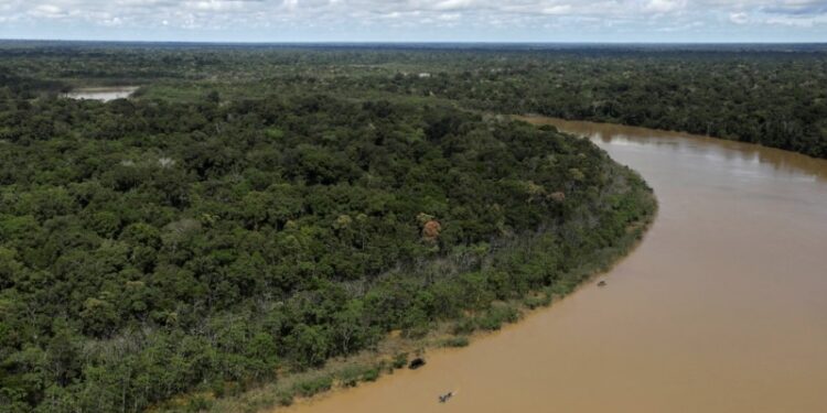 El anuncio de que Brasil se suma a la OPEP como observador despertó grandes inquietudes