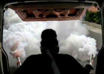 El dengue bate récords de contagio ante el aumento de las temperaturas