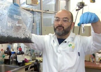 Científicos lograron convertir heces humanas en combustible para aviones