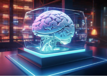 Crearon un cerebro desde cero con inteligencia artificial que reconoce el habla humana