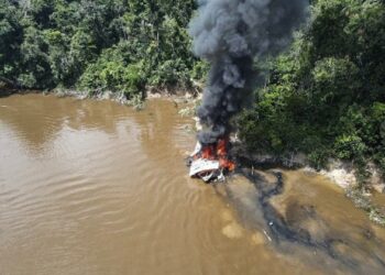 Autoridades de Colombia y Brasil asestaron duro golpe a la minería ilegal en la Amazonia