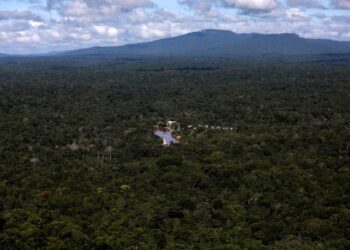 Claves sobre el papel de Brasil en la disputa entre Venezuela y Guyana