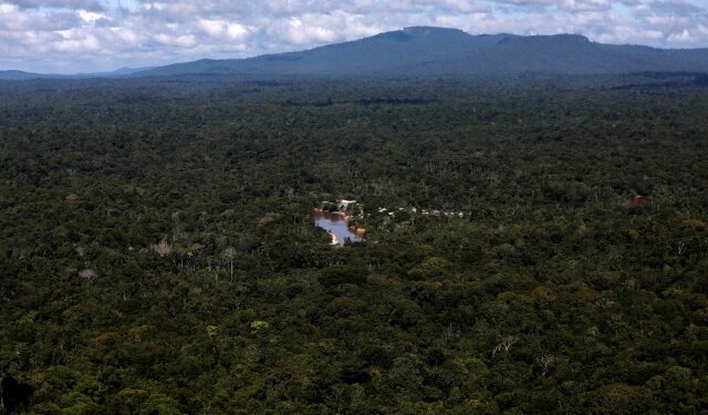 Claves sobre el papel de Brasil en la disputa entre Venezuela y Guyana