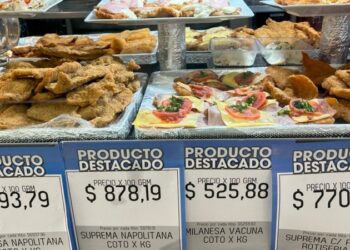 Milei y la dolarización en Argentina, ¿cómo proceder?