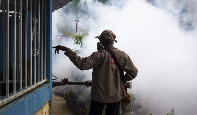 Sociedad de Infectología denunció que el dengue avanza en Venezuela
