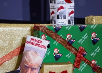 El Estado de Michigan autorizó al precandidato favorito por el partido republicano, Donald Trump, a presentarse en las elecciones de 2024.