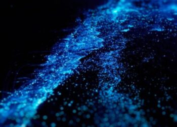 La laguna de Florida donde se puede disfrutar de un extraño e impresionante fenómeno