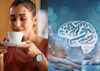 ¿Por qué el café lo hace sentir más despierto? Estos son los efectos en su cerebro