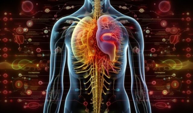 ¿Predecir el órgano que podría fallar primero?, científicos de Stanford tendrían la respuesta