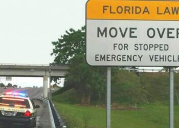 Atentos: La nueva ley que afectará a los conductores de Florida en 2024