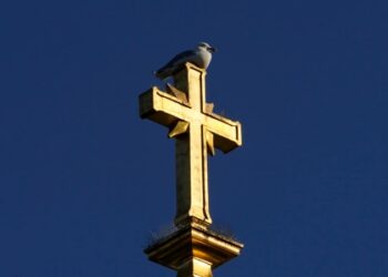 En Bolivia nace la primera asociación nacional de víctimas de abusos sexuales en el seno de la iglesia católica