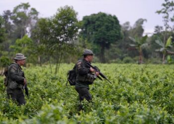Colombia: Política antidrogas se enfoca en afectados en conflicto, reduce fondos para acción militar
