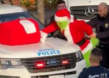 El Grinch se intentó robar la Navidad en Nueva York, pero fue atrapado por la policía (VIDEO)