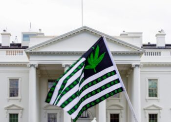 Biden otorga indultos por posesión de marihuana