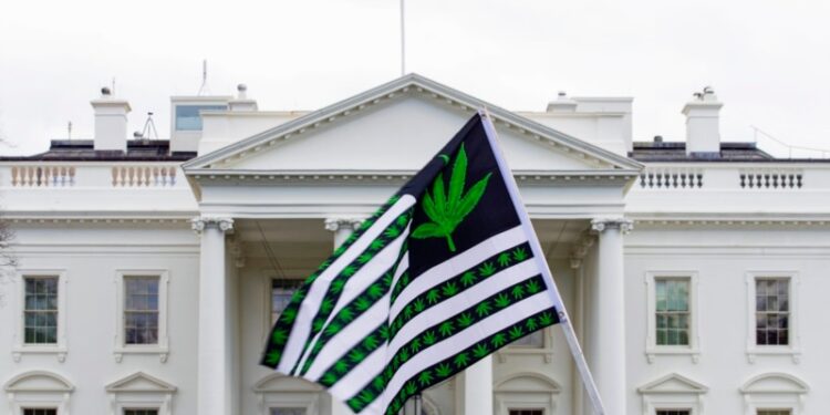 Biden otorga indultos por posesión de marihuana