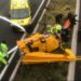 Cae un helicóptero en la carretera de circunvalación de Madrid M-40 (VIDEO)